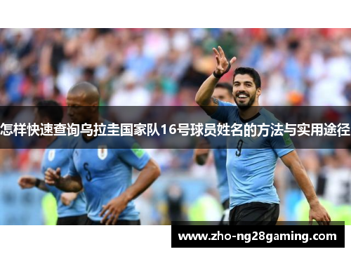 怎样快速查询乌拉圭国家队16号球员姓名的方法与实用途径