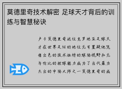 莫德里奇技术解密 足球天才背后的训练与智慧秘诀
