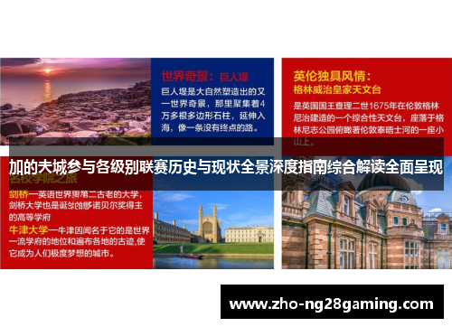 加的夫城参与各级别联赛历史与现状全景深度指南综合解读全面呈现