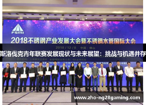 斯洛伐克青年联赛发展现状与未来展望：挑战与机遇并存