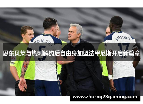 恩东贝莱与热刺解约后自由身加盟法甲尼斯开启新篇章